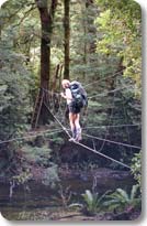 Three Wire Bridge