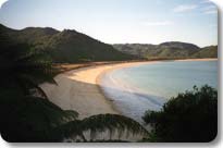 Overlooking the Abel Tasman Coastal Track