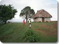 Fijian Village