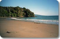 Stewart Island Beach