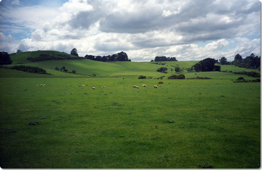 The Countryside of New Zealand