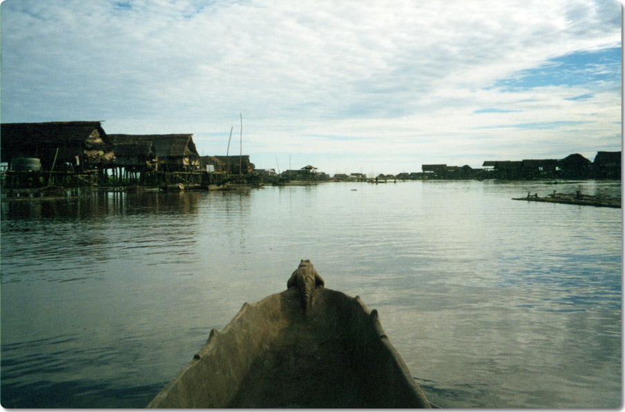 View From A Dugout Canoe