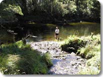 In The Seaforth River